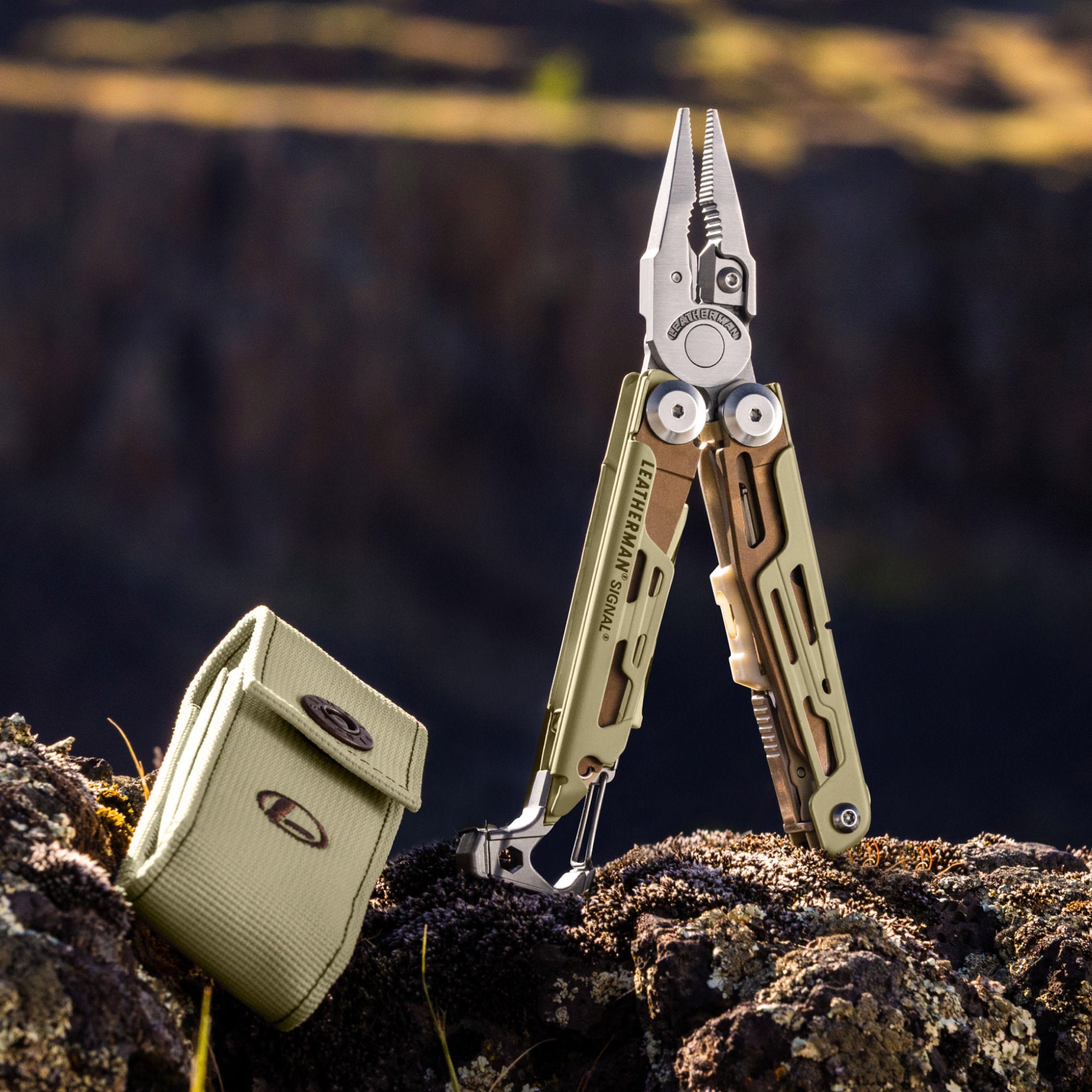 signal_sandstorm_carousel_07_20260604183728.jpg